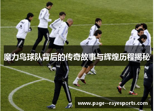魔力鸟球队背后的传奇故事与辉煌历程揭秘